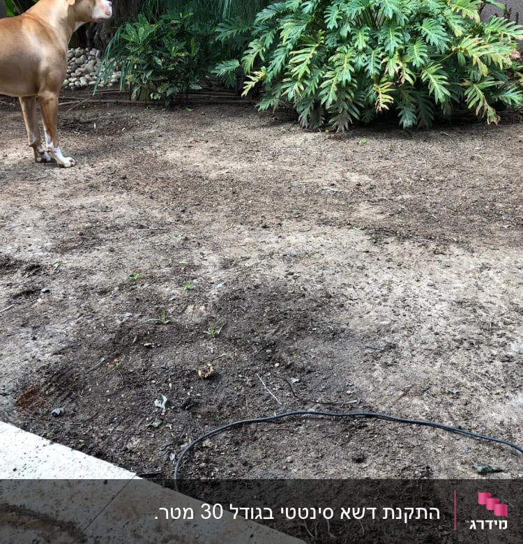 אדמה חשופה עם צינור השקיה בגינה